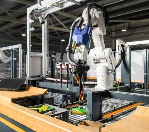 Robotic Arm Vs. High-Level Mechanical Palletizer: Selecting The Right Carton End-of-Line Solution